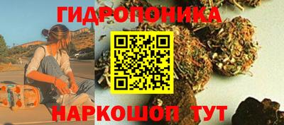 ECSTASY Владикавказ
