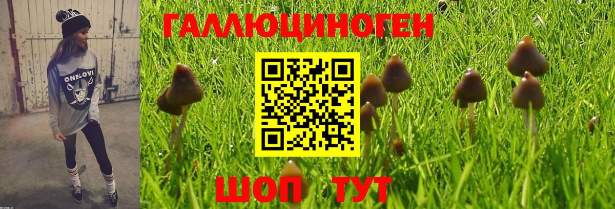 ГАШ  Меф   Вход с VPN  ГАШ  Богородицк  НБОМе  Канабис  Наркошоп  Кокаин 