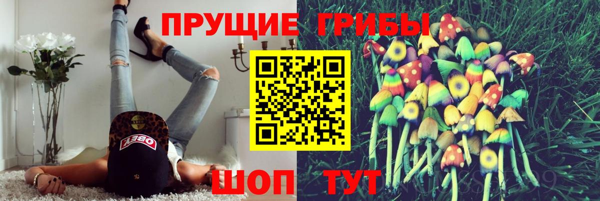 Галлюциногенные грибы GOLDEN TEACHER  Псилоцибиновые грибы Psilocybe  Богородицк  Вход с VPN 